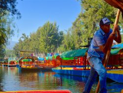 xochimilco-gondolier