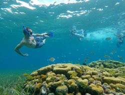 snorkeling-explorean-cozumel-underwater