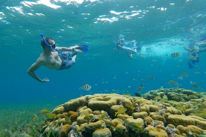 snorkeling-explorean-cozumel-underwater