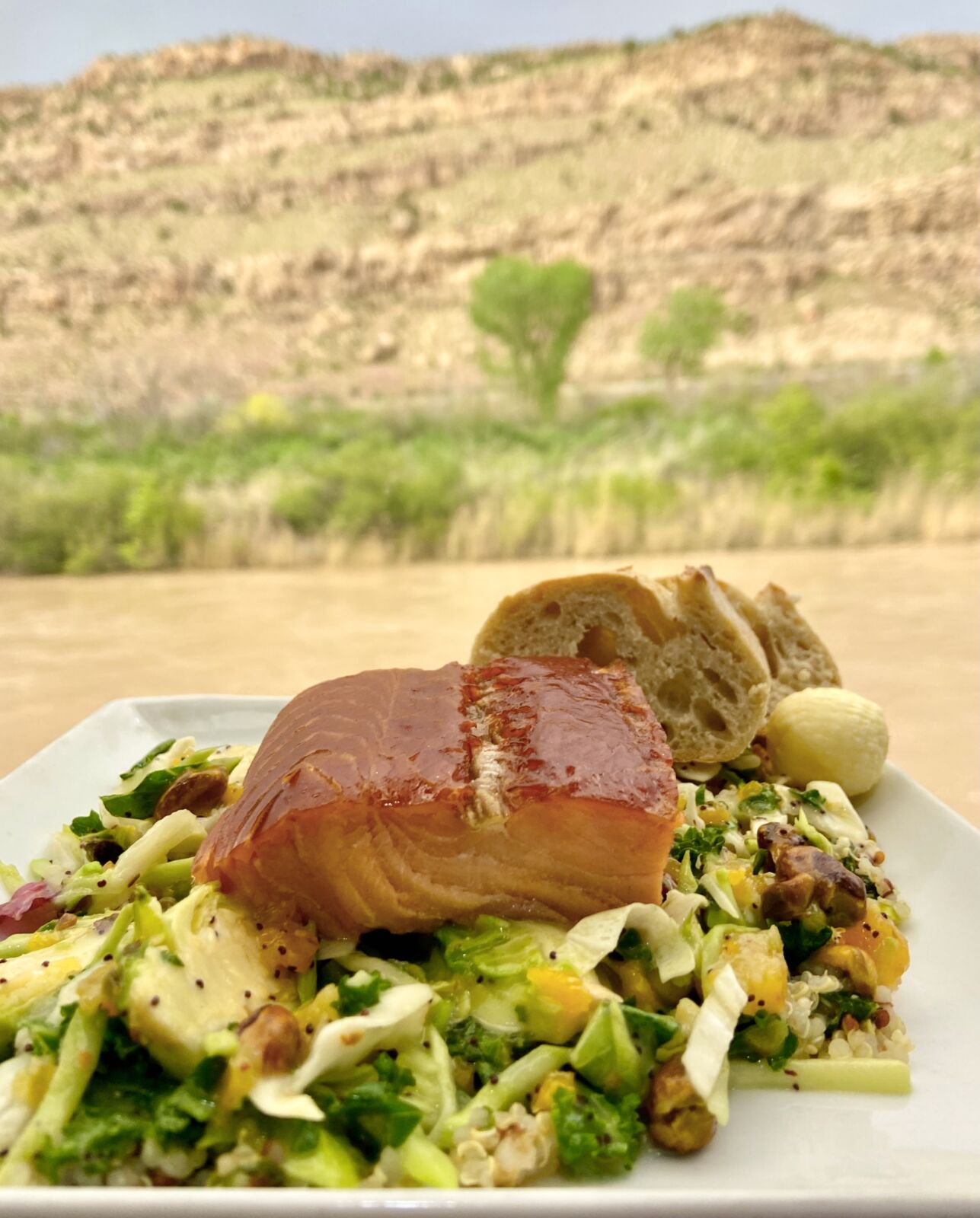 salmon-rocky-mountaineer