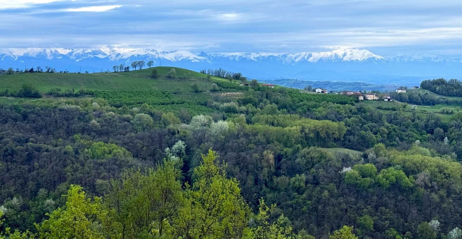 View of Alps from Balcone Sulle Langhe