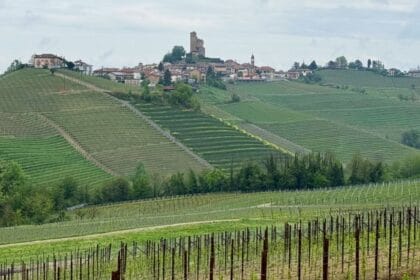 Vineyards and village of Roddino on hilltop